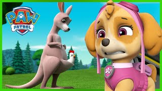 Pups Save a Missing Kangaroo  PAW Patrol Episode  Cartoons for Kids [upl. by Aloise584]