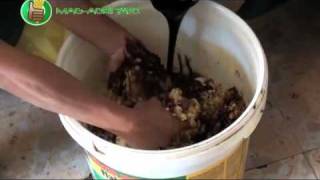 OrganicNatural Farming How to Make Oriental Herbal Nutrients OHN [upl. by Anastice946]