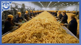 How Millions Of Tons Of French Fries Are Made From Harvesting Delicious Potatoes [upl. by Ycrad739]