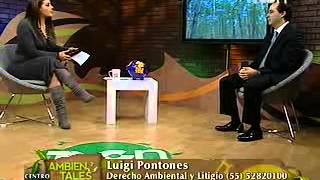 Derecho Ambiental y litigio  Entrevista en TVCn Ambientales [upl. by Justis465]