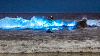 Unbelievable Bioluminescent Beach California [upl. by Toth541]