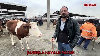 17 Şubat 2024 Şarkışla Hayvan Pazarı Vet Hekim Bahadır EKREN [upl. by Noryk]