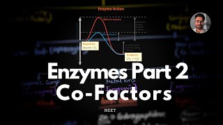 Enzymes Part 2 Co factors The Helping Hands of Enzymes NCERT Biomolecules amp NEET UG [upl. by Eitak]