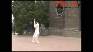 Bagua Eight Palms baguazhang instructional videosold palm and change palm demonstration [upl. by Fosdick]