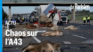 Un fiché S fait demitour après laccident dune bétaillère et sème le chaos sur lA43 [upl. by Secunda]