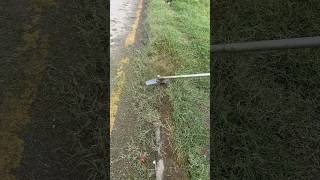 The easy way to cut grass foryou youtubeshorts [upl. by Kavanagh]