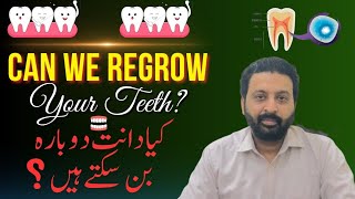 Regrow Your Teeth With Stem Cells  BioTooth  کیا ہم اپنے دانت دوبارہ بنا سکتے ہیں؟ [upl. by Eddie]