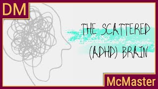 Understanding the scattered ADHD brain [upl. by Balliett]