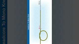 Shorts How to Tie The Leadcore To Mono Knot [upl. by Ahsaeit]