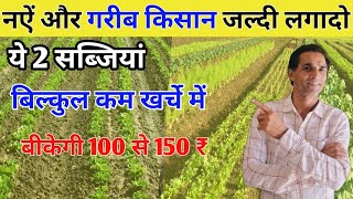 नऐं और गरीब किसान जल्दी लगादो ये 2 सब्जियां बीकेंगी 100से 150 ₹ 🤑 [upl. by Enyamert]