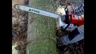 motosega stihl ms880 in taglio pioppo [upl. by Eatnom]