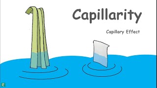 Capillary Rise in Soils [upl. by Yssirc746]