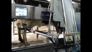 DeLaval VMS Robotic Milker [upl. by Groscr]