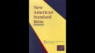 The Book of Job NASB Audio Bible Non Dramatized [upl. by Greabe]