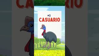 Las 8 Aves que NO vuelan🐧shorts short animalshorts shortvideo shortsfeed viral [upl. by Desirea]