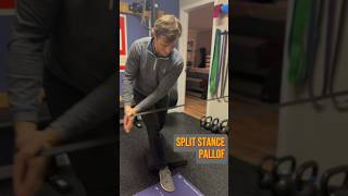 Unconventional AntiRotation Core Exercise — Pallof Press Variations golf physiotherapy shorts [upl. by Hcirdla]