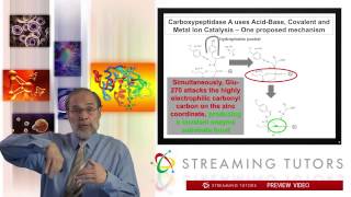 Biochemistry Enzyme Mechanism Proteases tutorial [upl. by Namhcan]