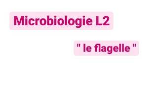 Microbiologie L2  le flagelle [upl. by Souvaine948]