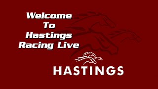 Hastings Racecourse Official Live Stream September 6th 2024 [upl. by Duane524]