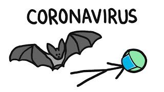 Why Do Bats Carry So Many Diseases like Coronavirus [upl. by Haodnanehs354]