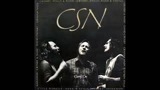 Crosby Stills amp Nash CSN Carry  1991 Full album [upl. by Kyred]