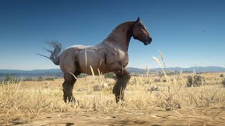 Horses  Red Dead Redemption 2  Ardennes horse herd [upl. by Bartholemy]