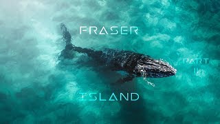 Fraser Island 2017  Part II  We saw Humpback Whales [upl. by Takara]