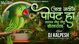 Navin Popat Ha  Java Navin Popat Ha  नवीन पोपट हा  DJ KALPESH  Anand Shinde [upl. by Corbett456]