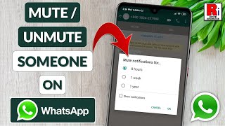 How To Mute or Unmute Someone on WhatsApp [upl. by Hoffarth918]