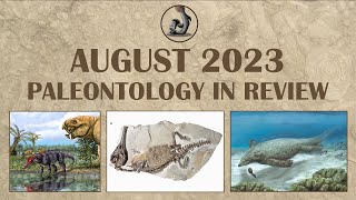 August 2023 Paleontology Month in Review [upl. by Neelik681]