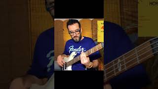 Bob Marley Guiltiness A Barrett cover bass reggae basscover peace bobmarley youtubeshorts [upl. by Susi]