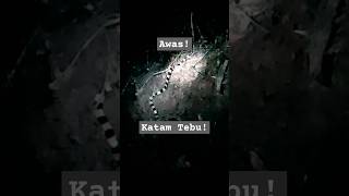 Salah 1 Ular Paling Berbisa Ular Katam Tebu Malayan Krait  Scientific name → Bungarus Candidus [upl. by Arremat212]