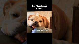 Abused Dogs  The Hidden Epidemic dog abuseprevention dogs shortsfeed [upl. by Kirstyn621]