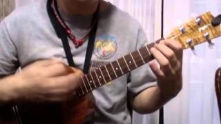 Noho Paipai  on ukulele solo [upl. by Mayman]