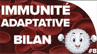 Immunité adaptative  SVT  SANTÉ 1ère spé 14  Mathrix [upl. by Cobbie840]