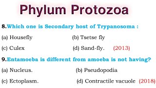 Phylum Protozoa  Classification of Phylum protozoa [upl. by Egarton374]