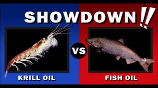 Fish Oil vs Krill Oil  Which is Better [upl. by Tracie]