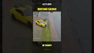 Mustang Salvaje [upl. by Horwath]