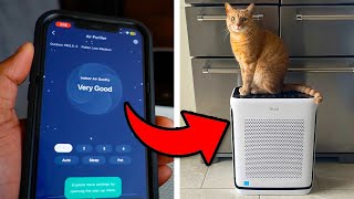 Is The Levoit Vital 200S The Best Air Purifier 2024  Full Setup [upl. by Arhaz]