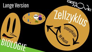 ► Zellzyklus und Zellteilung  verständlich erklärt  Lange Version [upl. by Habas]