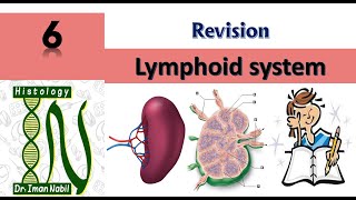 Revision of Lymphoid systemBlood and lymphoid system [upl. by Mellisa]