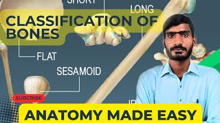 lecture  4Bone amp Classification of bonesveterinary anatomy in Hindiurdu [upl. by Otsedom]