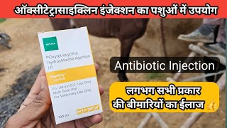 Oxytetracycline Injection ऑक्सीटेटरासाइक्लिन इंजेक्शन का पशु चिकित्सा में उपयोग  Veterinary uses [upl. by Archle]