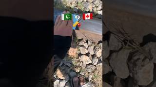 Pakistan Vs Canada  Who Win today Match challenge doryrail railway pakistan canada indianrail [upl. by Nednarb]