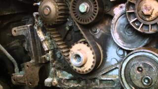 CITERONPEUGEOTSUZUKI20 HDI TIMING BELT INSTALLATION [upl. by Amuh]