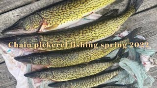 Spring pickerel fishing 2022  Dartmouth Nova Scotia [upl. by Aennaej]