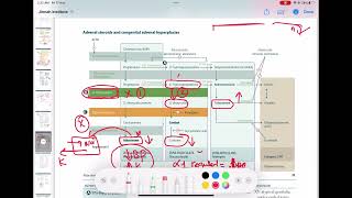 21 hydroxylase enzyme deficiency endocrinology 23  First Aid USMLE Step 1 in UrduHindi [upl. by Nowad]