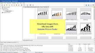 Download images from URL list [upl. by Pavla]