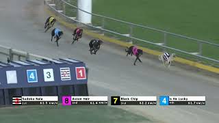 Gawler15092024Race4 [upl. by Aipmylo]