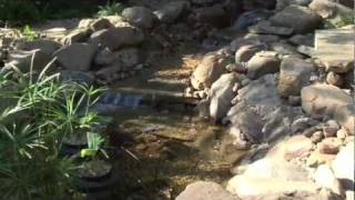 Smartponds How to Build a Pond or Water Feature [upl. by Filler604]